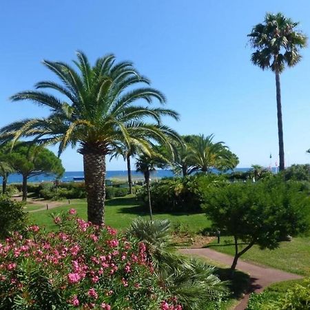 Bel Appartement Les Pieds Dans L'Eau Villeneuve-Loubet Dış mekan fotoğraf