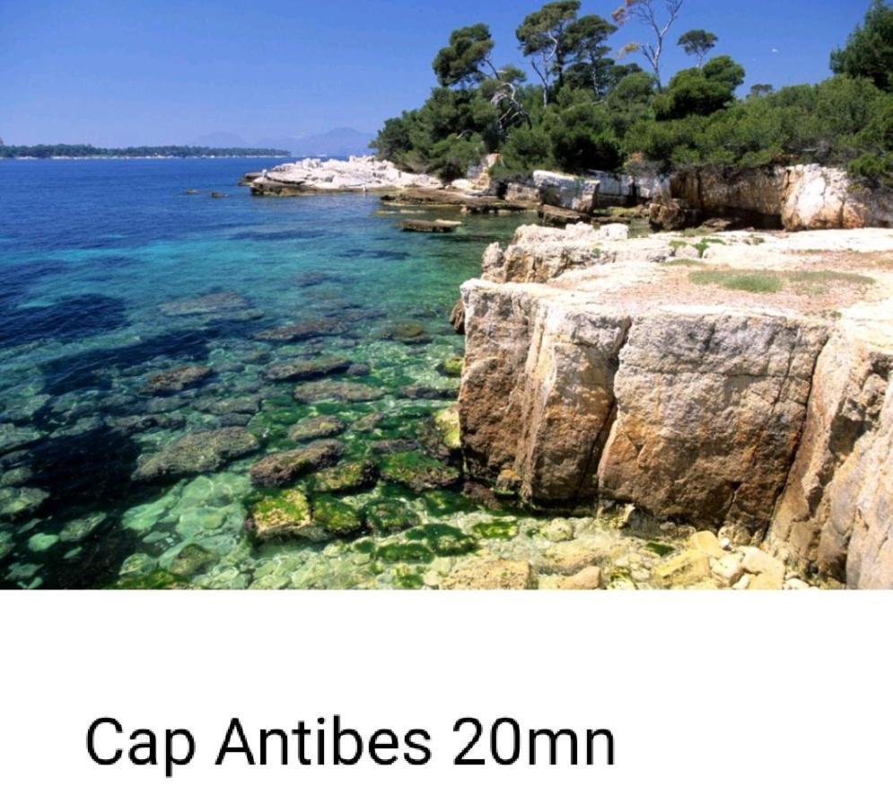 Bel Appartement Les Pieds Dans L'Eau Villeneuve-Loubet Dış mekan fotoğraf
