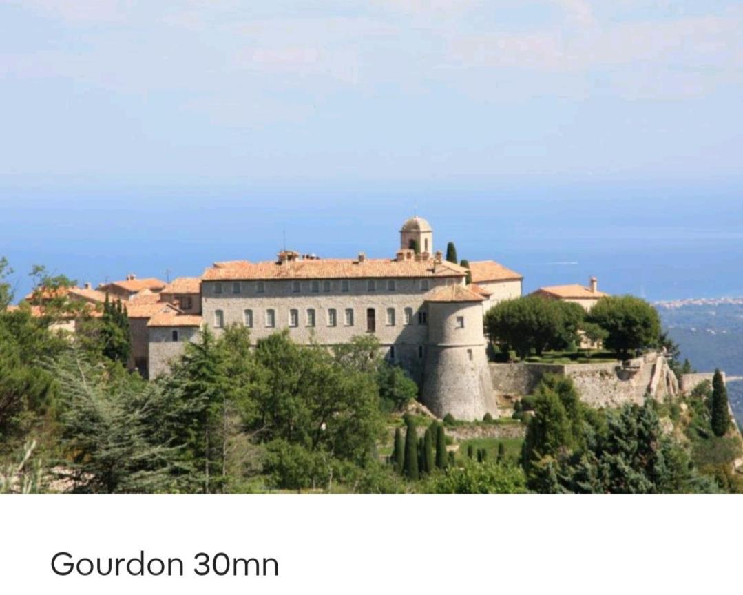 Bel Appartement Les Pieds Dans L'Eau Villeneuve-Loubet Dış mekan fotoğraf