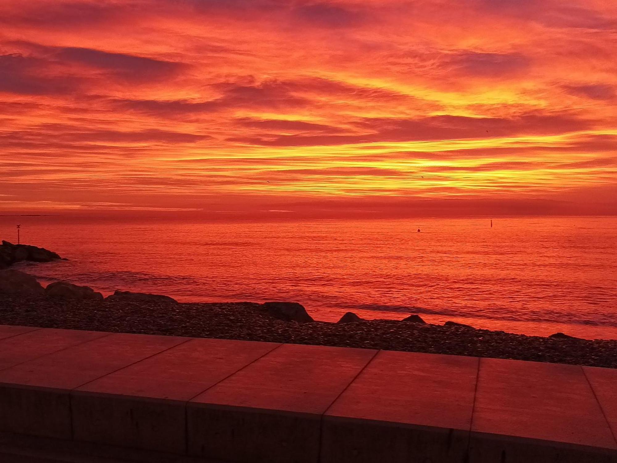 Bel Appartement Les Pieds Dans L'Eau Villeneuve-Loubet Dış mekan fotoğraf