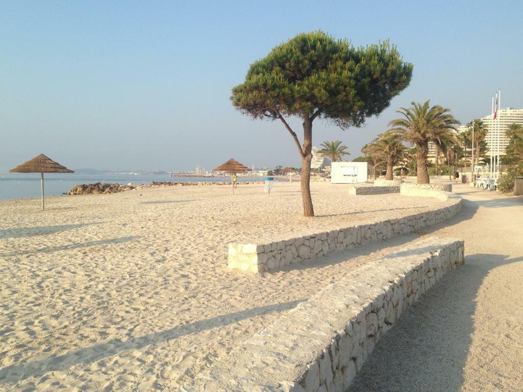 Bel Appartement Les Pieds Dans L'Eau Villeneuve-Loubet Dış mekan fotoğraf