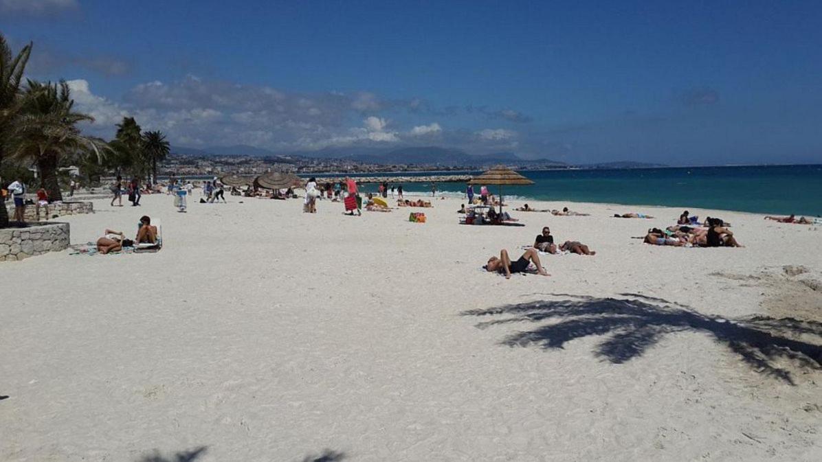 Bel Appartement Les Pieds Dans L'Eau Villeneuve-Loubet Dış mekan fotoğraf